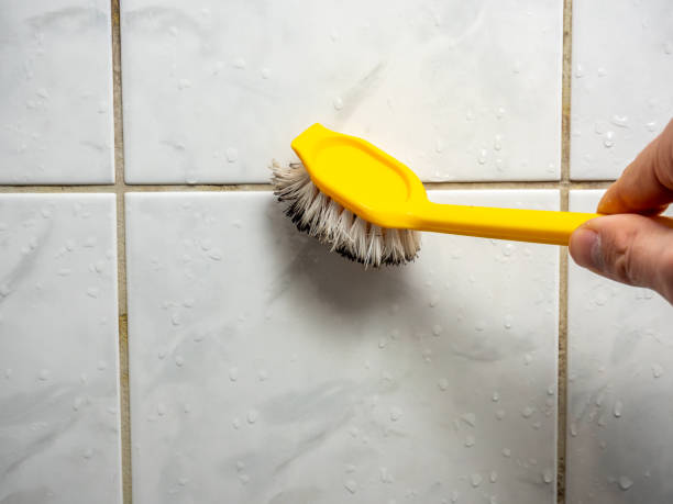 Best Mold Testing  in Riverside, CT