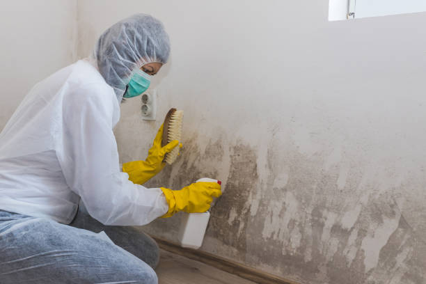 Best Crawl Space Mold Removal  in Riverside, CT
