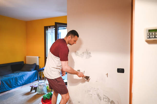 Best Home Mold Removal  in Riverside, CT
