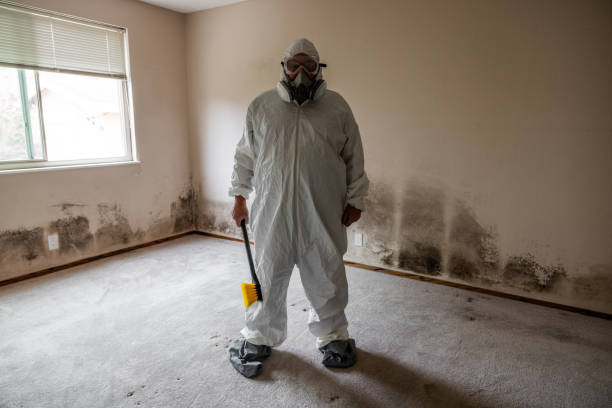 Best Residential Mold Removal  in Riverside, CT